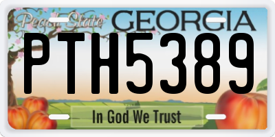 GA license plate PTH5389