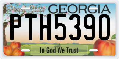 GA license plate PTH5390