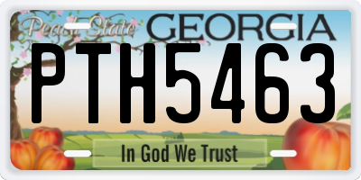 GA license plate PTH5463