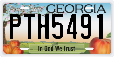 GA license plate PTH5491