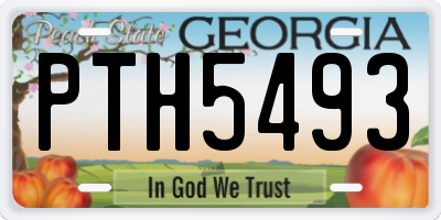 GA license plate PTH5493
