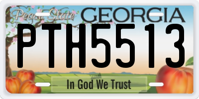 GA license plate PTH5513