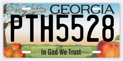 GA license plate PTH5528