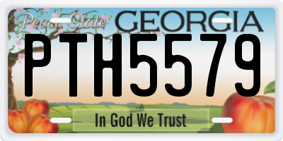 GA license plate PTH5579