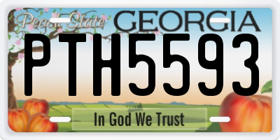 GA license plate PTH5593