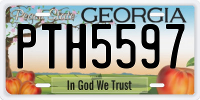 GA license plate PTH5597