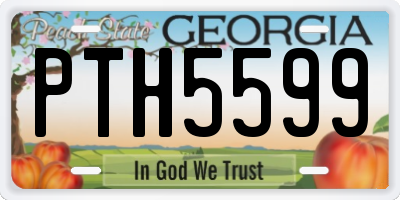 GA license plate PTH5599