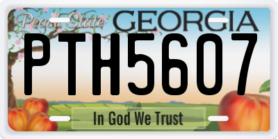 GA license plate PTH5607