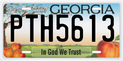 GA license plate PTH5613