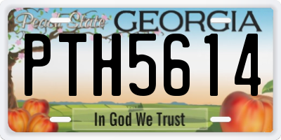 GA license plate PTH5614
