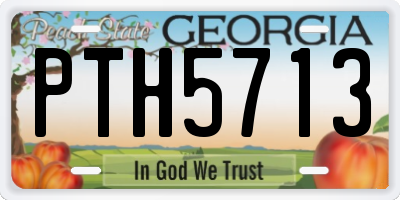 GA license plate PTH5713