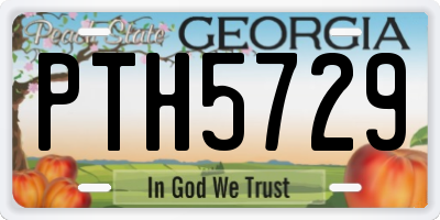 GA license plate PTH5729
