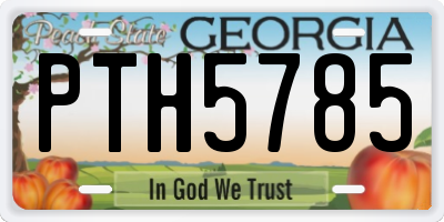 GA license plate PTH5785