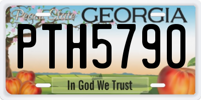 GA license plate PTH5790