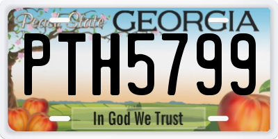 GA license plate PTH5799