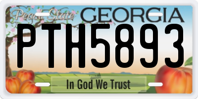 GA license plate PTH5893