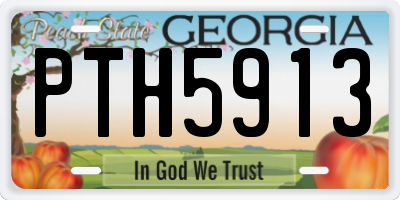 GA license plate PTH5913