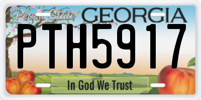 GA license plate PTH5917