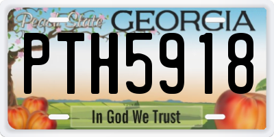 GA license plate PTH5918