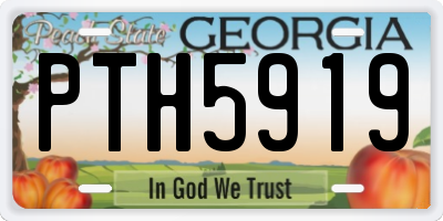 GA license plate PTH5919