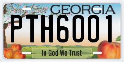 GA license plate PTH6001