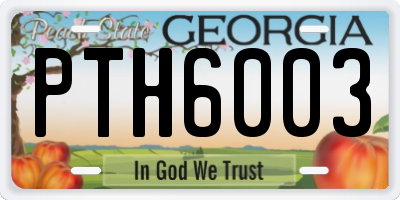 GA license plate PTH6003