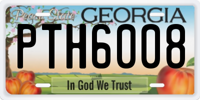 GA license plate PTH6008