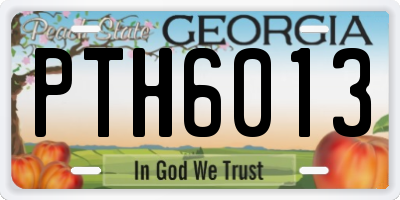 GA license plate PTH6013