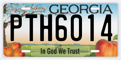 GA license plate PTH6014