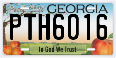 GA license plate PTH6016