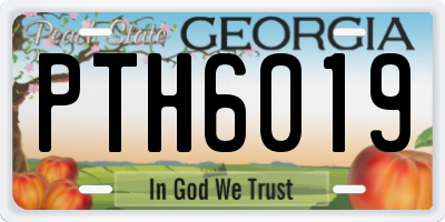 GA license plate PTH6019