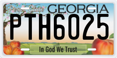GA license plate PTH6025