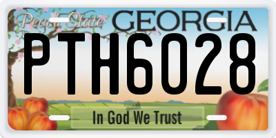 GA license plate PTH6028
