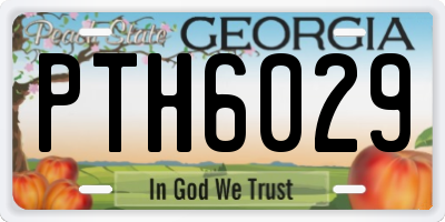 GA license plate PTH6029