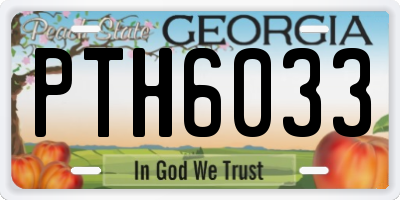 GA license plate PTH6033