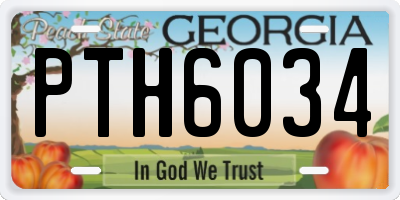 GA license plate PTH6034