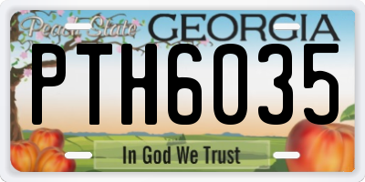 GA license plate PTH6035