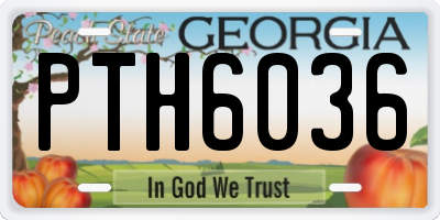 GA license plate PTH6036