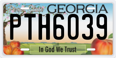GA license plate PTH6039