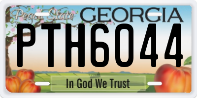 GA license plate PTH6044