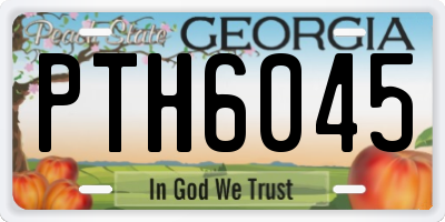 GA license plate PTH6045