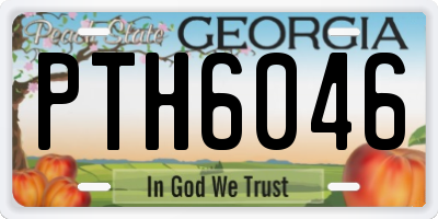 GA license plate PTH6046