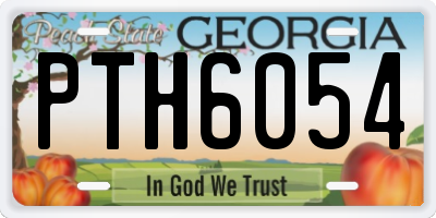 GA license plate PTH6054