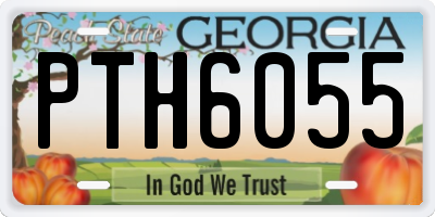 GA license plate PTH6055