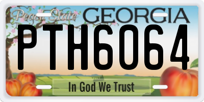 GA license plate PTH6064