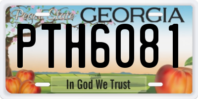 GA license plate PTH6081