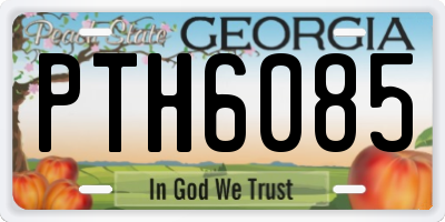 GA license plate PTH6085