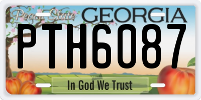 GA license plate PTH6087