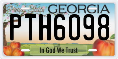 GA license plate PTH6098