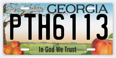 GA license plate PTH6113